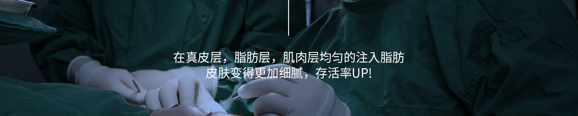 포인트지방이식