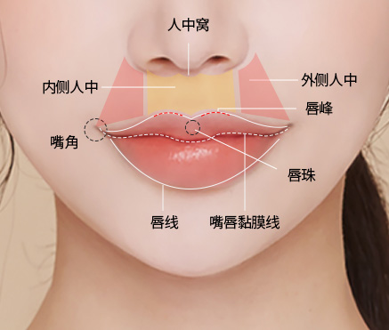 입꼬리성형